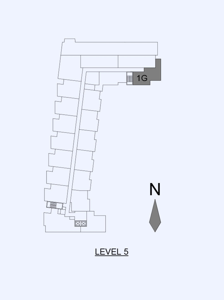 Amethyst Level Image