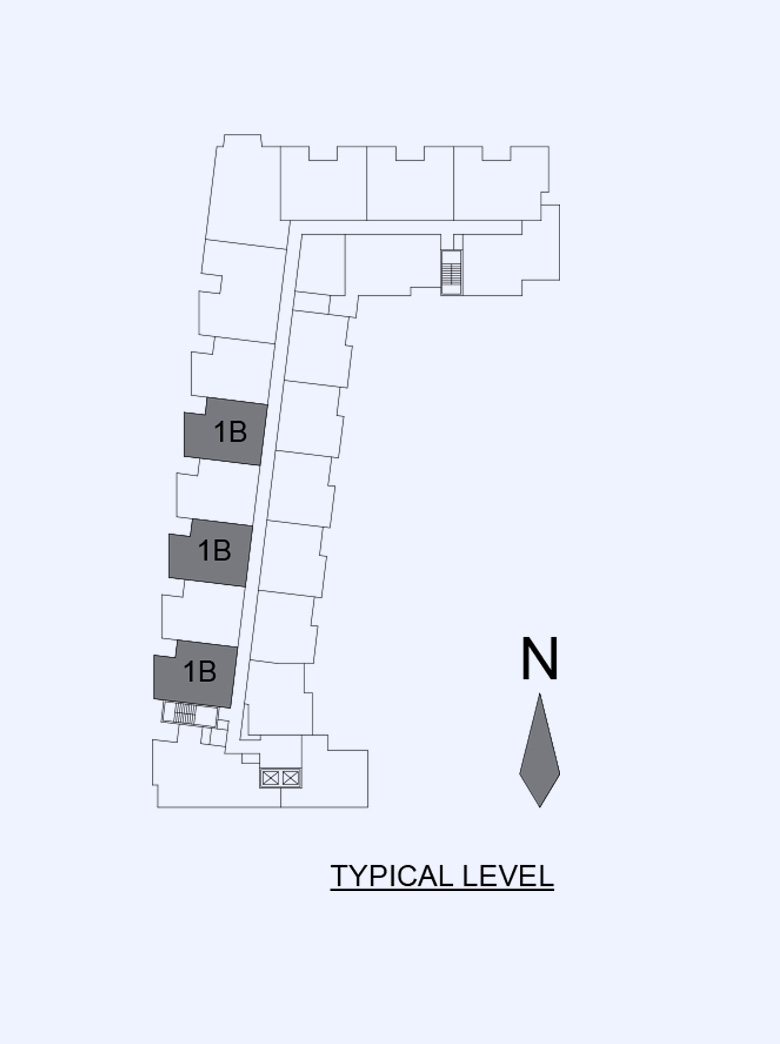 Citrine Level Image