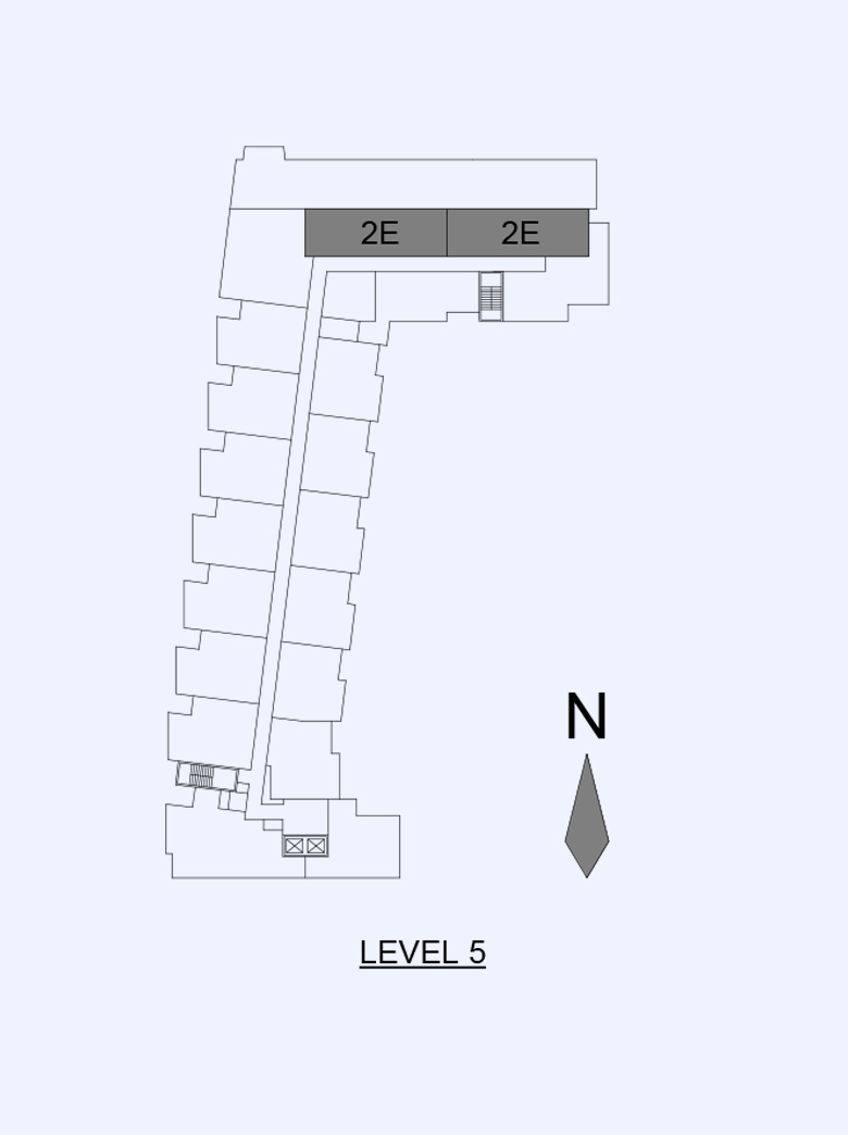 Diamond Level Image