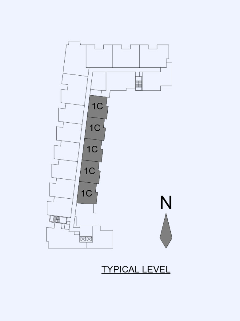 Opal Level Image